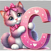 Valentine's Day-QRJ  2742